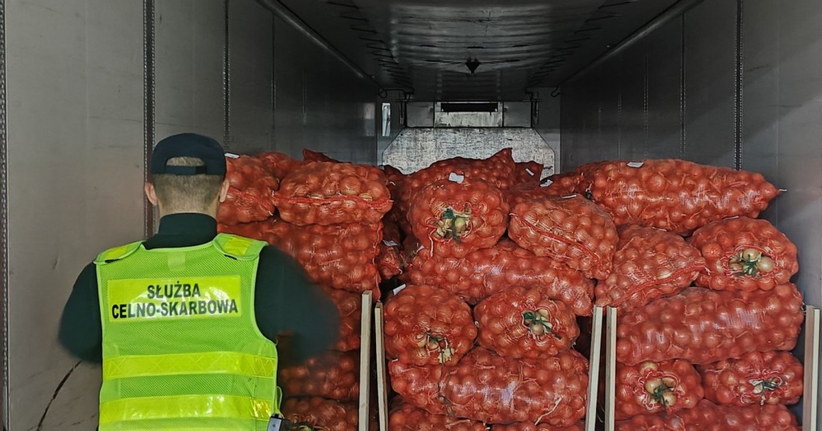 Śledczy zajrzeli do ciężarówki z cebulą. To, co odkryli, ich zszokowało. Kierowca zatrzymany