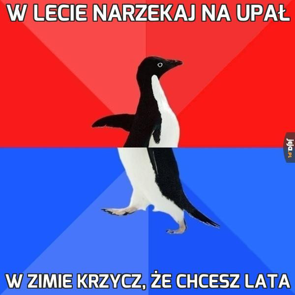 Memy o upałach. Internauci w formie