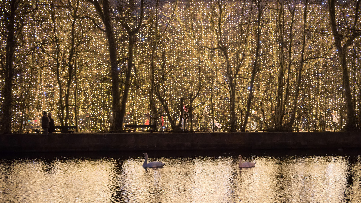 W parku Oliwskim w Gdańsku rozbłysło pół miliona lampek