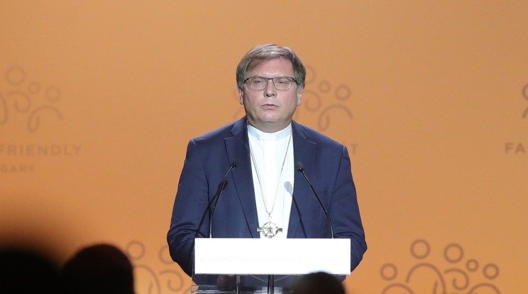 Fabiny Tamás reagált a döbbenetes kijelentésre /Fotó: Ringier-archívum