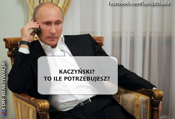 mem / PiSs off reaktywacja