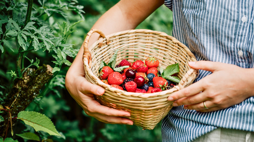 4 étel, ami gyakorlatilag megállítja a test öregedését: évekkel kitolhatod az élettartamodat, ha naponta eszel belőlük