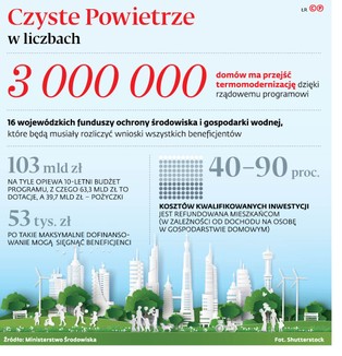 Smogowa cisza wyborcza narzucona odgórnie