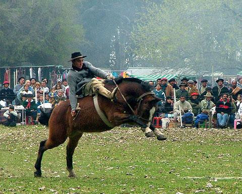 Galeria Argentyna - Jineteada czyli wiejski festyn na Pampie, obrazek 35