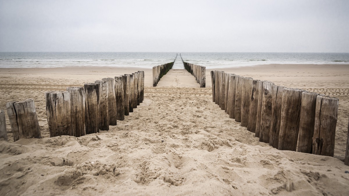 Możdżeń tura - czyli wyrostek kości czołowej, z którego wyrasta poroże lub rogi - znaleziono na plaży w Łukęcinie. Prawdopodobnie został wypłukany z klifu podczas ostatnich sztormów. Kość trafiła do Muzeum Historii Ziemi Kamieńskiej, gdzie zostaną przeprowadzone badania, by ustalić jej wiek.