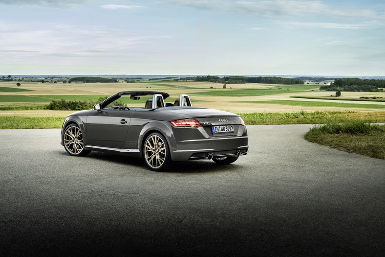 Audi TT Roadster bronze selection