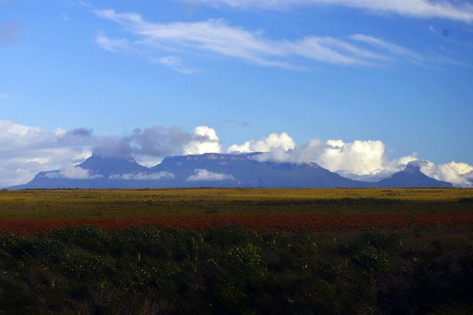 Wenezuela - Gran Sabana