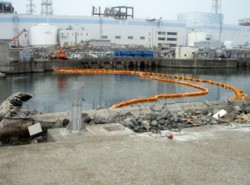 Pożar w Fukushimie. Rząd wywozi jeszcze więcej mieszkańców