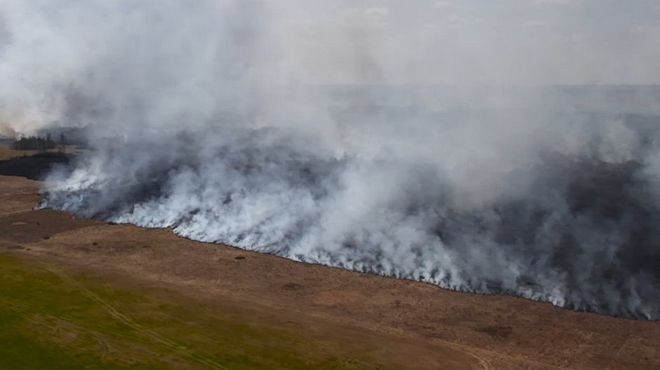 W 2020 r. pożar Biebrzy pochłonął ponad 5 tysięcy hektarów terenu