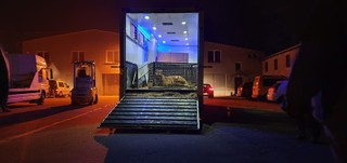 Rzecznik poznańskiego zoo: Jesteśmy przekonani, że transport tygrysów to przemyt