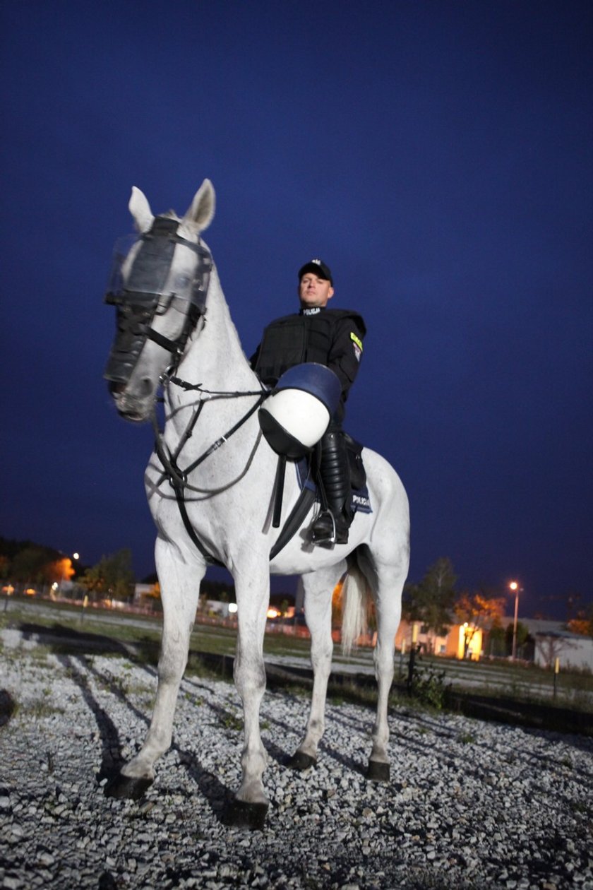 Policja konna w Poznaniu