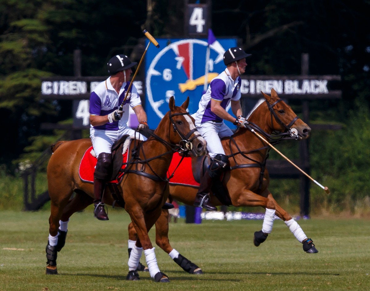 Książę William i książę Harry w czasie gry w polo