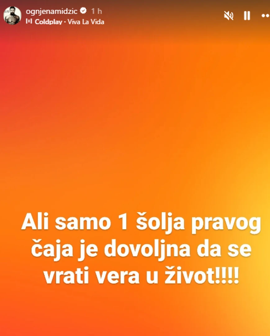 Objava Ognjena Amidžića