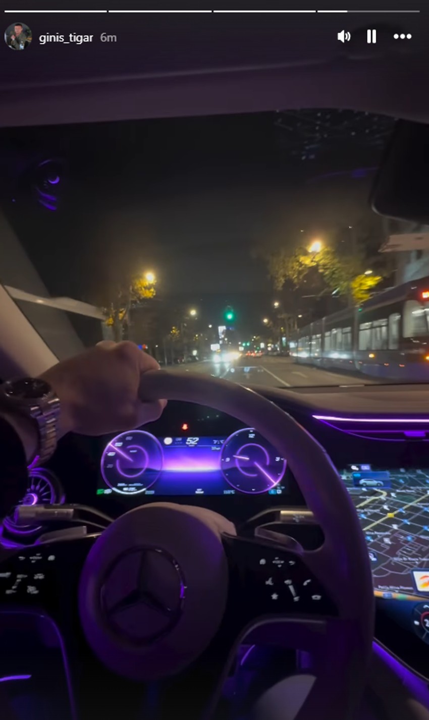 Tigar se vozi u luksuznom automobilu