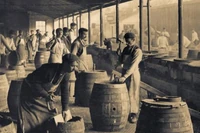 Historia browaru Guinnessa. Tak irlandzkie piwo podbiło świat