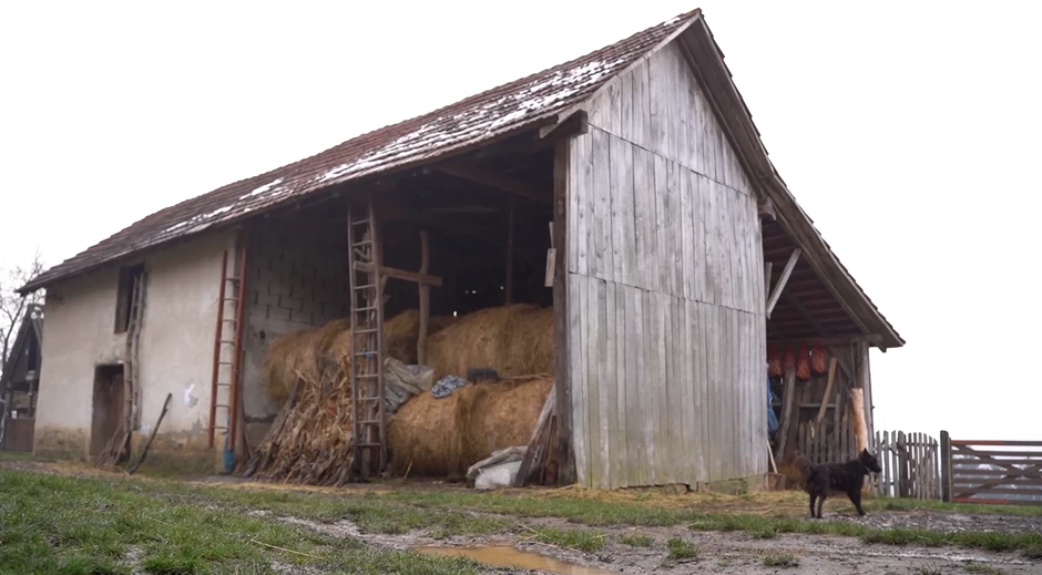Jelena Broćić, emisija "Metar moga sela"