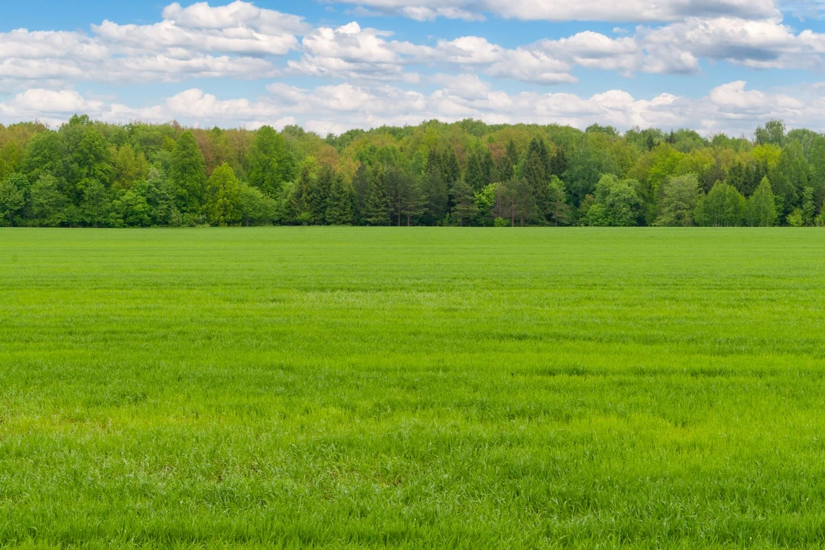 Ceny działek biją rekordy. Gdzie zapłacisz najwięcej za 1 m² w 2025?