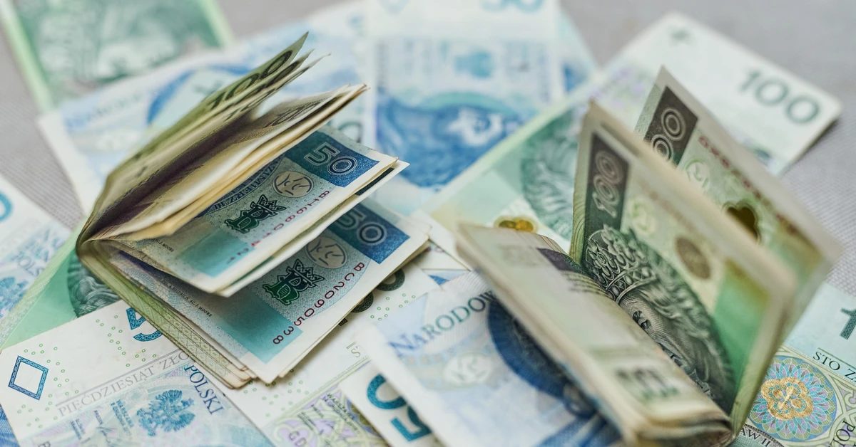 PPK a emerytura. Czy warto oszczędzać z pomocą państwa i pracodawcy?