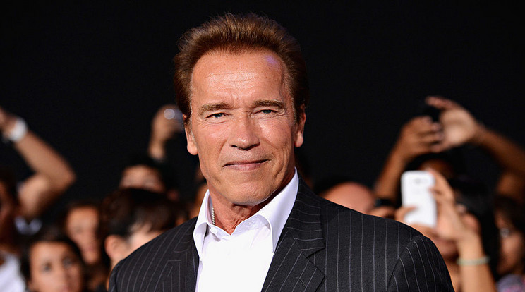 Arnold Schwarzenegger csúnya karácsonyi pulcsijában edz az ünnepek alatt is / Fotó: Getty Images