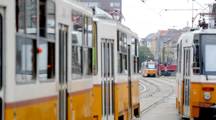 Nem hétköznapi tárgyakat is hagytak el az utasok a BKV járatain / Fotó: Varga Imre