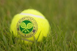 Wimbledon w terminie? 'Wznowienie rywalizacji na trawie jest wątpliwe'