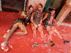 Wojna na pomidory. Poszło 120 ton!