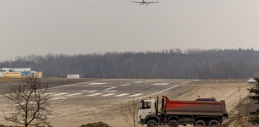 Leśnicy szykują wycinkę na Muchowcu. Potrwa do 2029 roku!