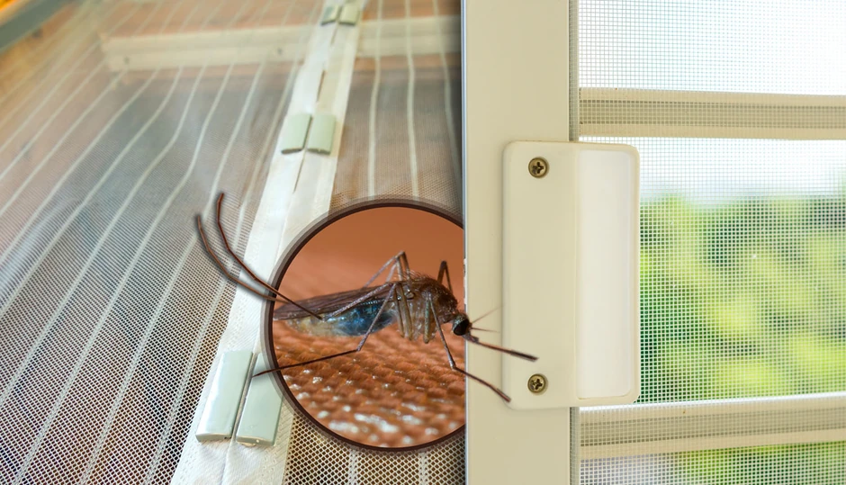 „Čistoća” apeluje na sugrađane da obezbede fizičku barijeru od komaraca na svojim prozorima