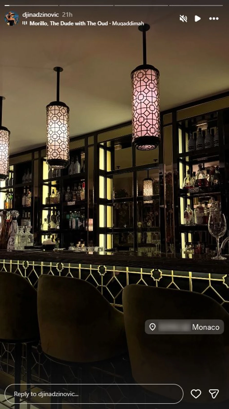 Đina Džinović, objava