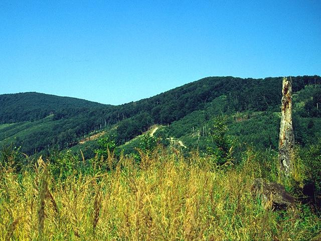 Grzbiet graniczny w Bieszczadach, fot. Paweł Klimek