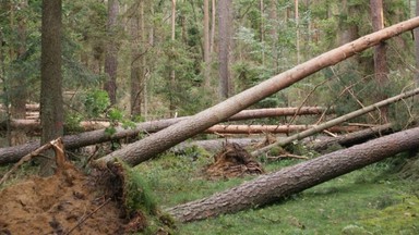 100 tys. zł od miasta Łomży dla gminy Sośno