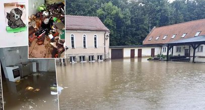 Dramat dzieci z domu dziecka w Kłodzku. Najbardziej martwiły się o swoje koty. Wiadomo już, co się z nimi stało...