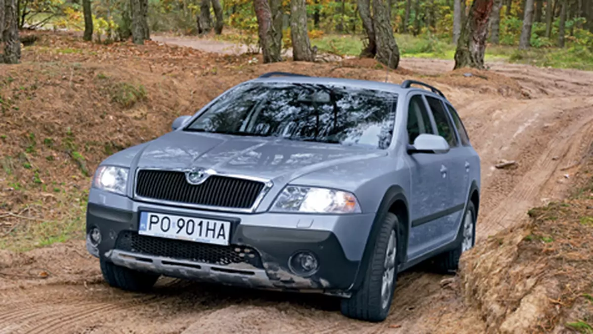 Skoda Octavia Scout 2.0 FSI -Na polskie drogi