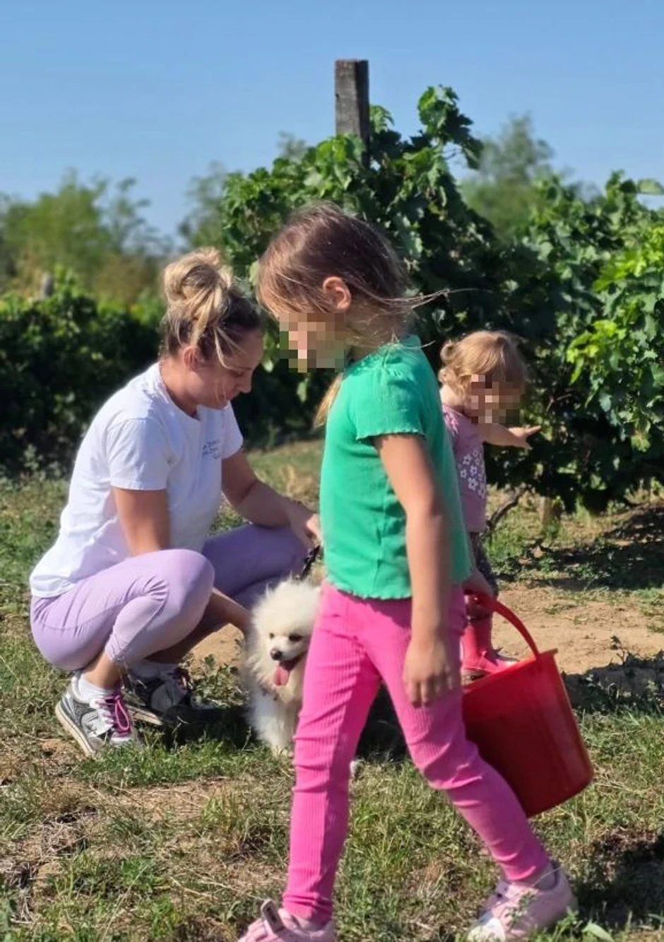 Luna Đogani, objava