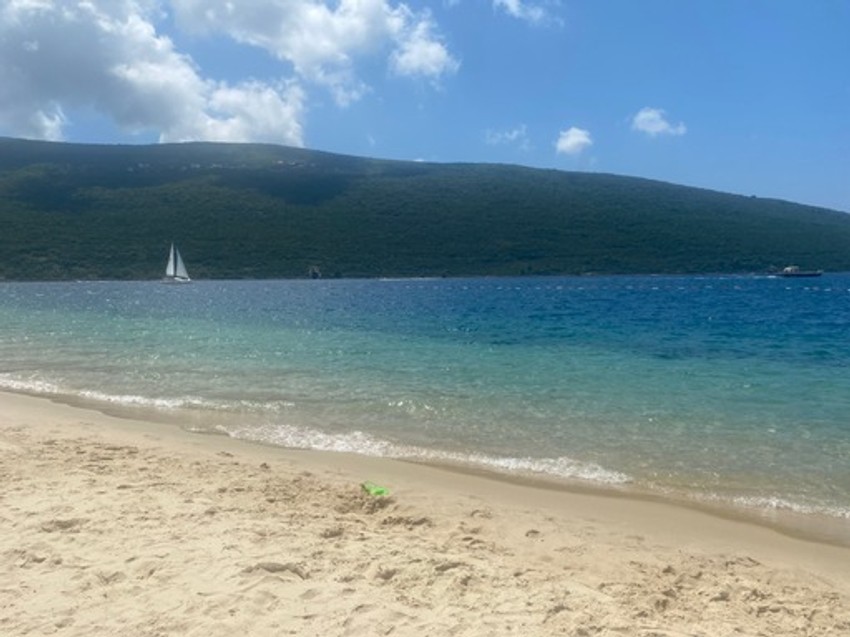 Kompleks u kojem borave Đoković, Ana Sević i Jelisaveta Orašanin