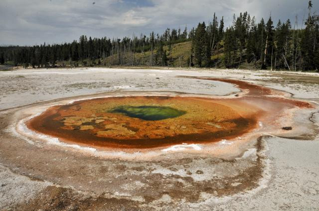 Galeria USA - Park Narodowy Yellowstone, obrazek 15