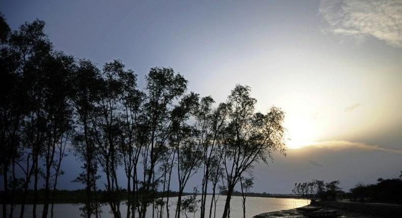 The Sundarbans near Khulna, Bangladesh, is the world's largest mangrove forest and was declared a UNESCO World Heritage Site in 1997