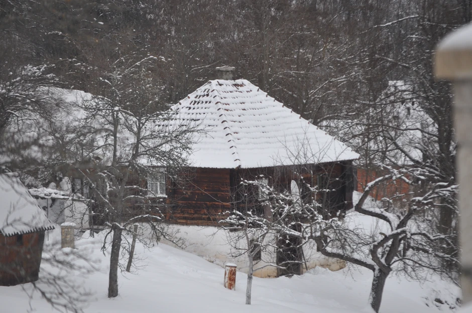 U celoj Dobroselici ostalo je stotinak ljudi, mnogo kuća ostalo je prazno