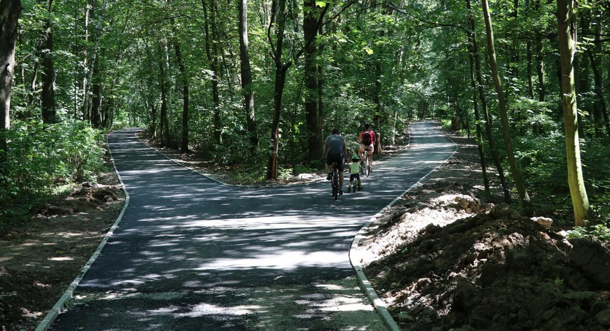 Park Wolności im. Juliusa Peppela. Którą drogę wybieracie?