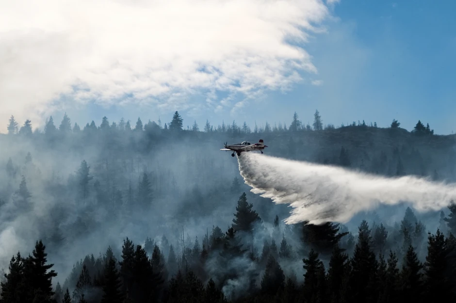Šumski požari u Epujenu u Patagoniji, Argentina, 11. januara