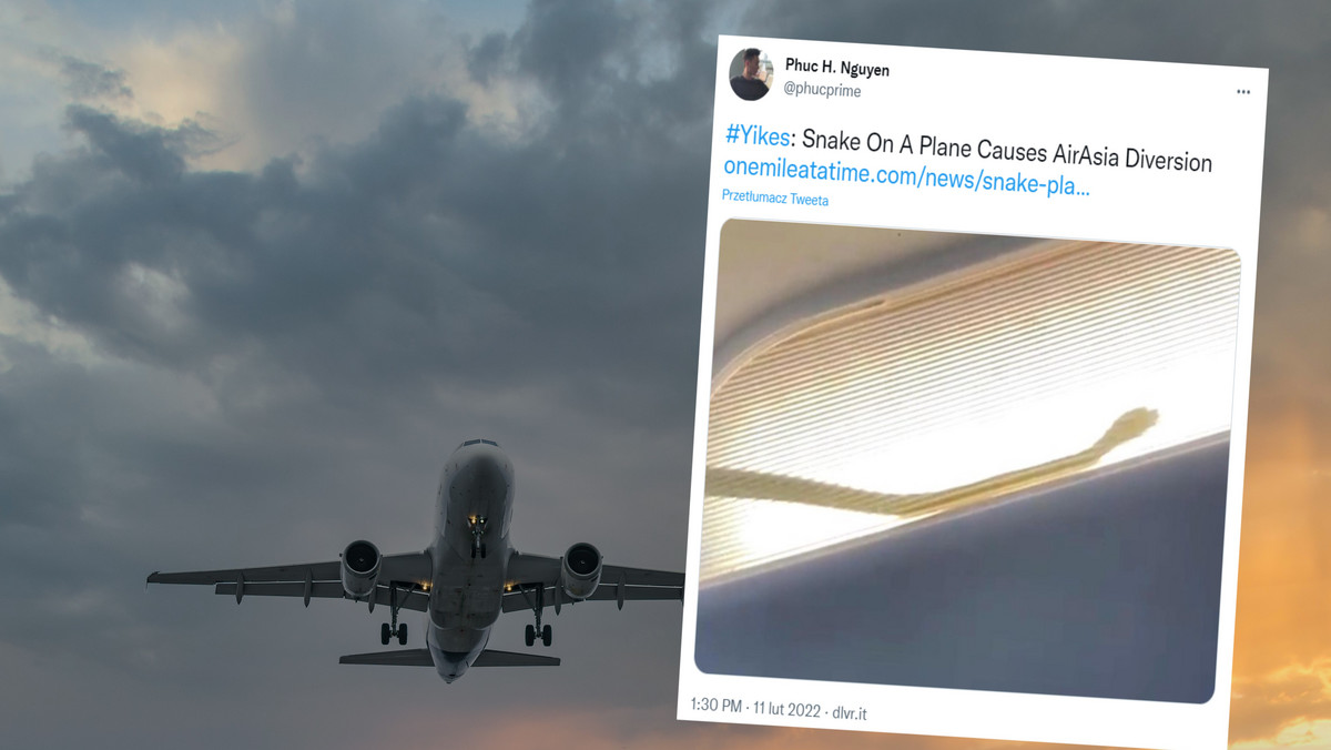 Nieproszony gość został odkryty na pokładzie samolotu linii AirAsia [WIDEO]