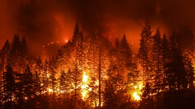 Prawie 16 proc. w ciągu 16 lat. O tyle wzrosła powierzchnia pożarów wywołanych zmianami klimatu