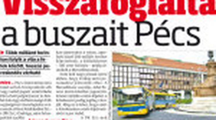 Perre számít Pécs a buszok miatt