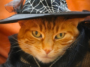 Démon helyett feminista erő: a boszorkánykultusz újjászületett és bátrabb, mint valaha