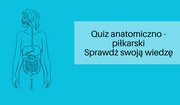 Co to jest przywodziciel? Gdzie znajduje się mięsień płaszczkowaty? [QUIZ ANATOMICZNO-PIŁKARSKI]