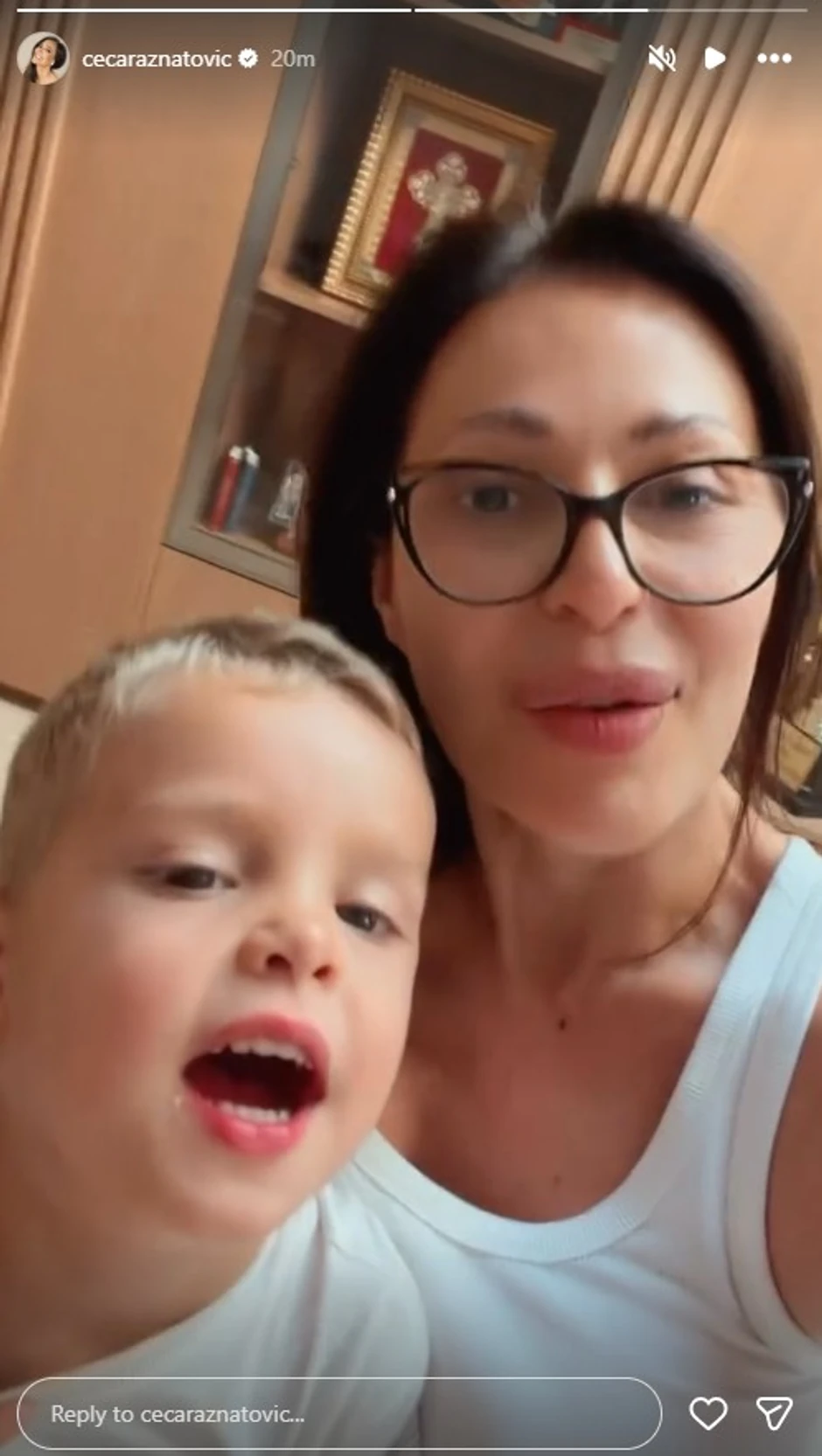 Ceca sa unucima