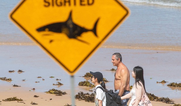 BBC | Foto: REUTERS/Jeremy Piper