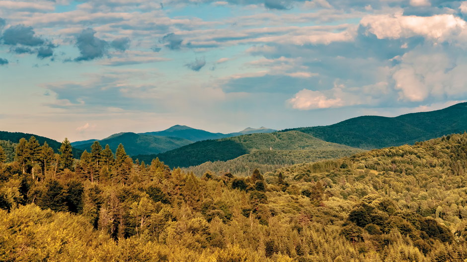 Cisna, Bieszczady