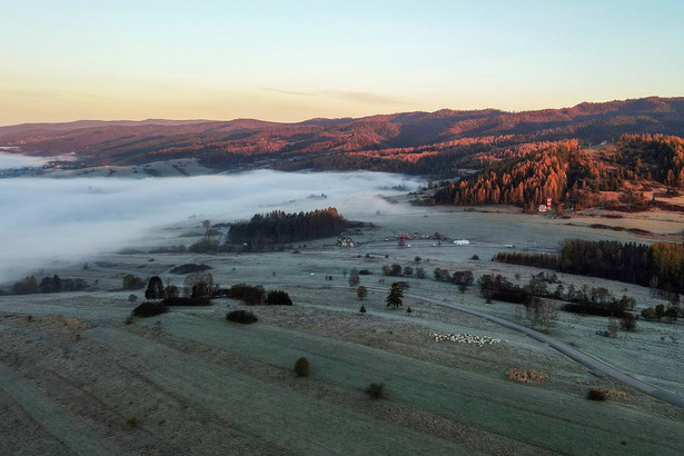 Poranne mgły nad Czorsztynem