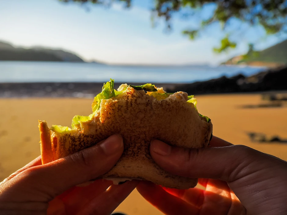 Sit gladnom ne veruje